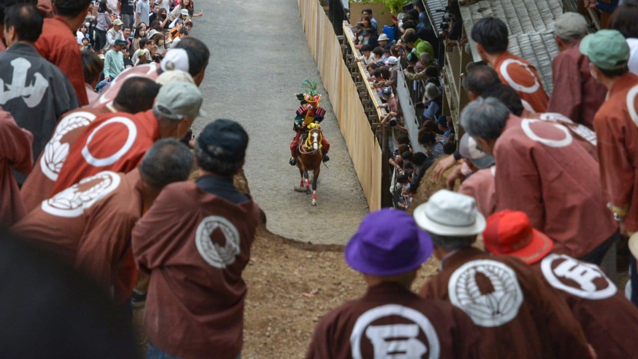 ‘Obvious abuse’: backlash grows against Japan festival after horse euthanised